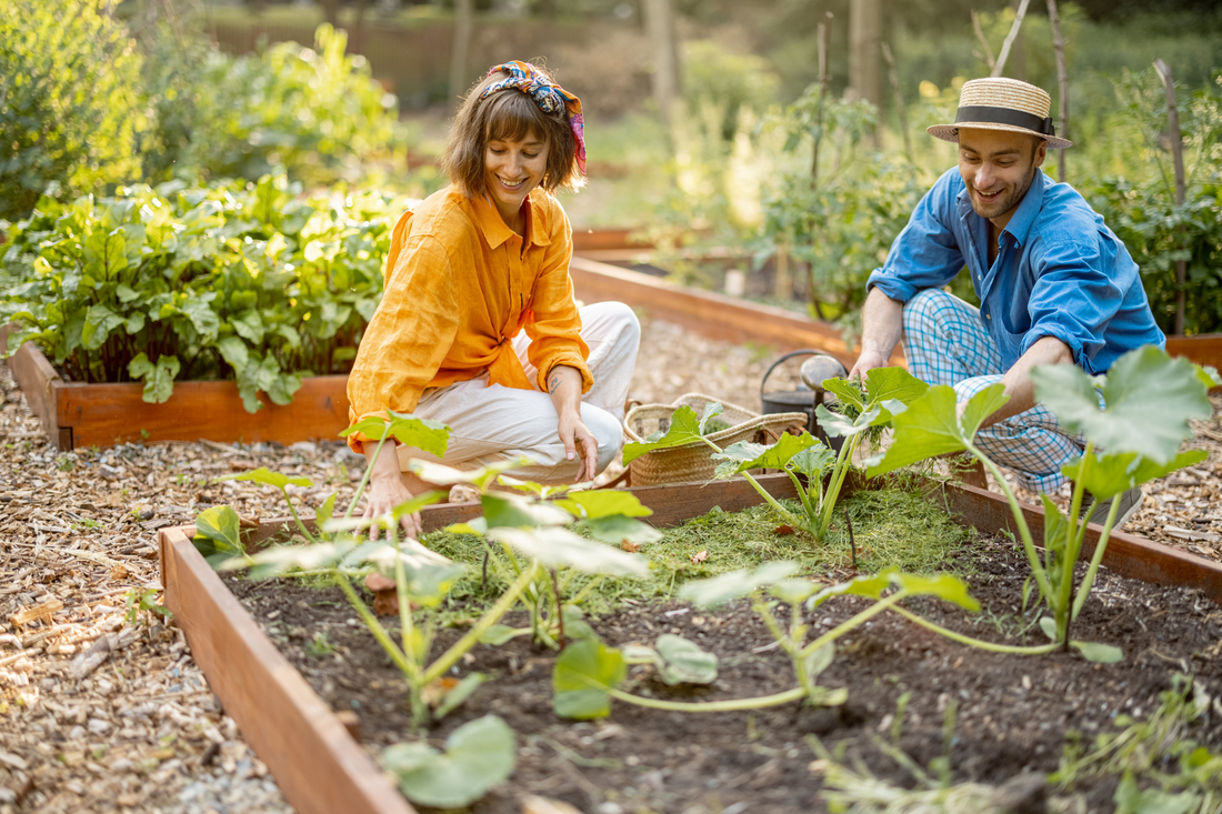 Transform Your Backyard into a Green Haven with Organic Fertilizers: A Fun and Easy Guide!