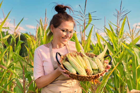 Sweet Corn and Organic Fertilizers: Agronomist-Tested Organic Fertilizers for Growing Corn