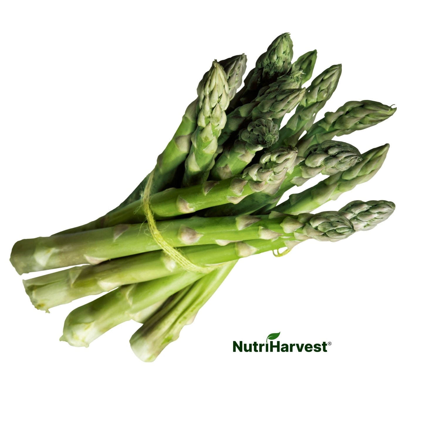 Organic Asparagus – Fresh & Delicious