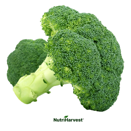 Organic Broccoli – Fresh & Nutritious