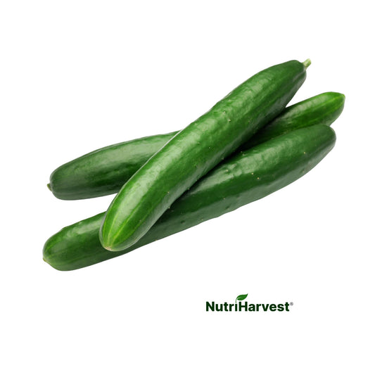 Organic Cucumbers