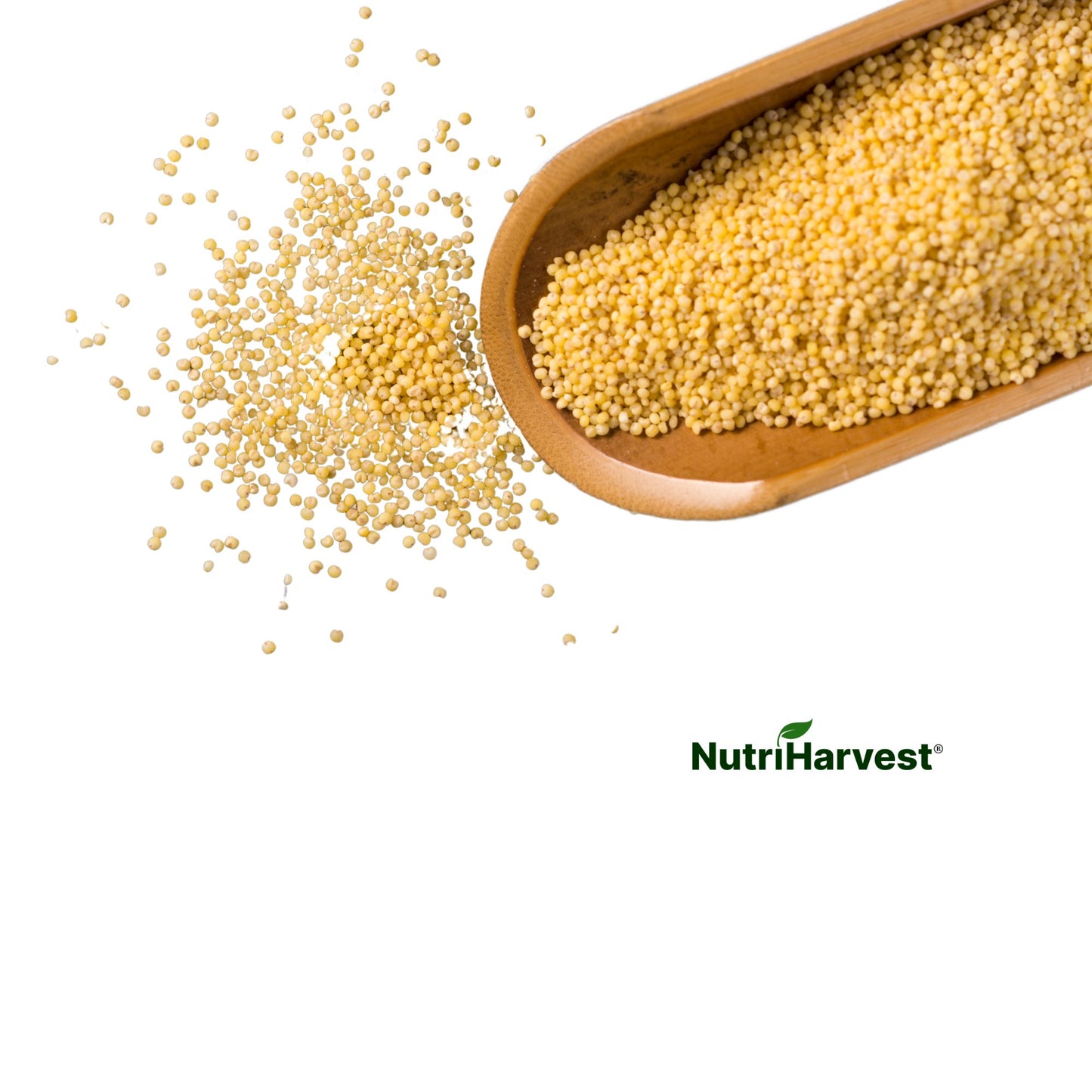 Organic Millet – Nutritious & Versatile