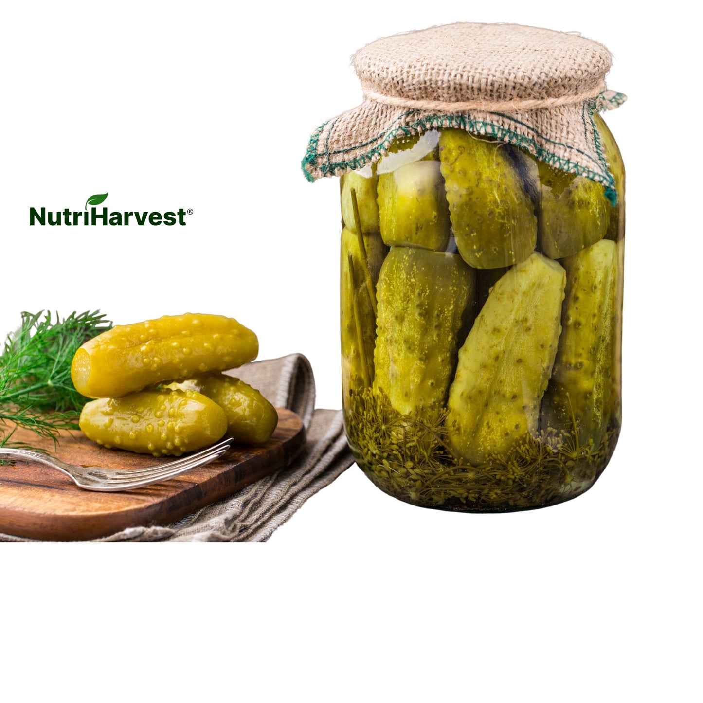 Artisanal Pickles